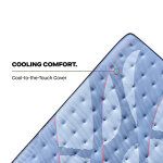 Indianapolis Tight Top Firm - Image 8