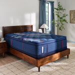 Albany II Euro Pillow Top Soft