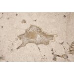 Round End Table - Image 7