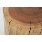Madera Stump Accent Table - Image 4