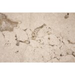 Round End Table - Image 6