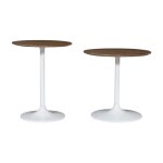 Remy 2pc Nesting Tables