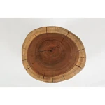 Madera Stump Accent Table - Image 5