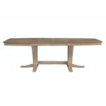 Cosmopolitan Collection - Extension Table Top and Double Pedestal Base in Taupe Gray - T09-4096XXB